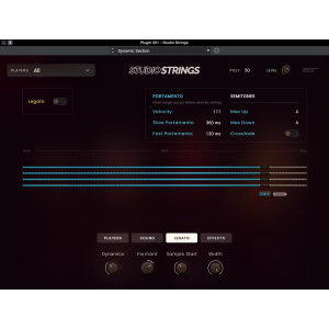 AIR Music Technologynology Studio Strings