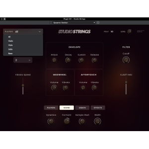 AIR Music Technologynology Studio Strings