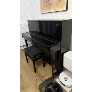 Fridolin Schimmel F121 es un piano vertical de alta calidad que combina una hermosa estética con un sonido excepcional. 