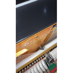 Fridolin Schimmel F121 es un piano vertical de alta calidad que combina una hermosa estética con un sonido excepcional. 