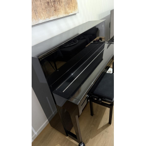 Fridolin Schimmel F121