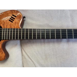 Godin LGX is a versatile electric guitar that stands out for its exceptional craftsmanship and tonal capabilities. With its uniq