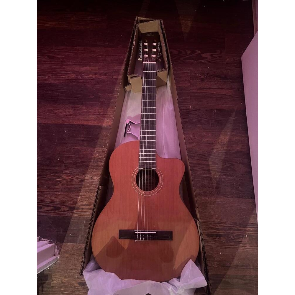 Shiver Electro-Acoustic Guitar