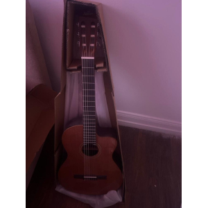 Shiver Electro-Acoustic Guitar