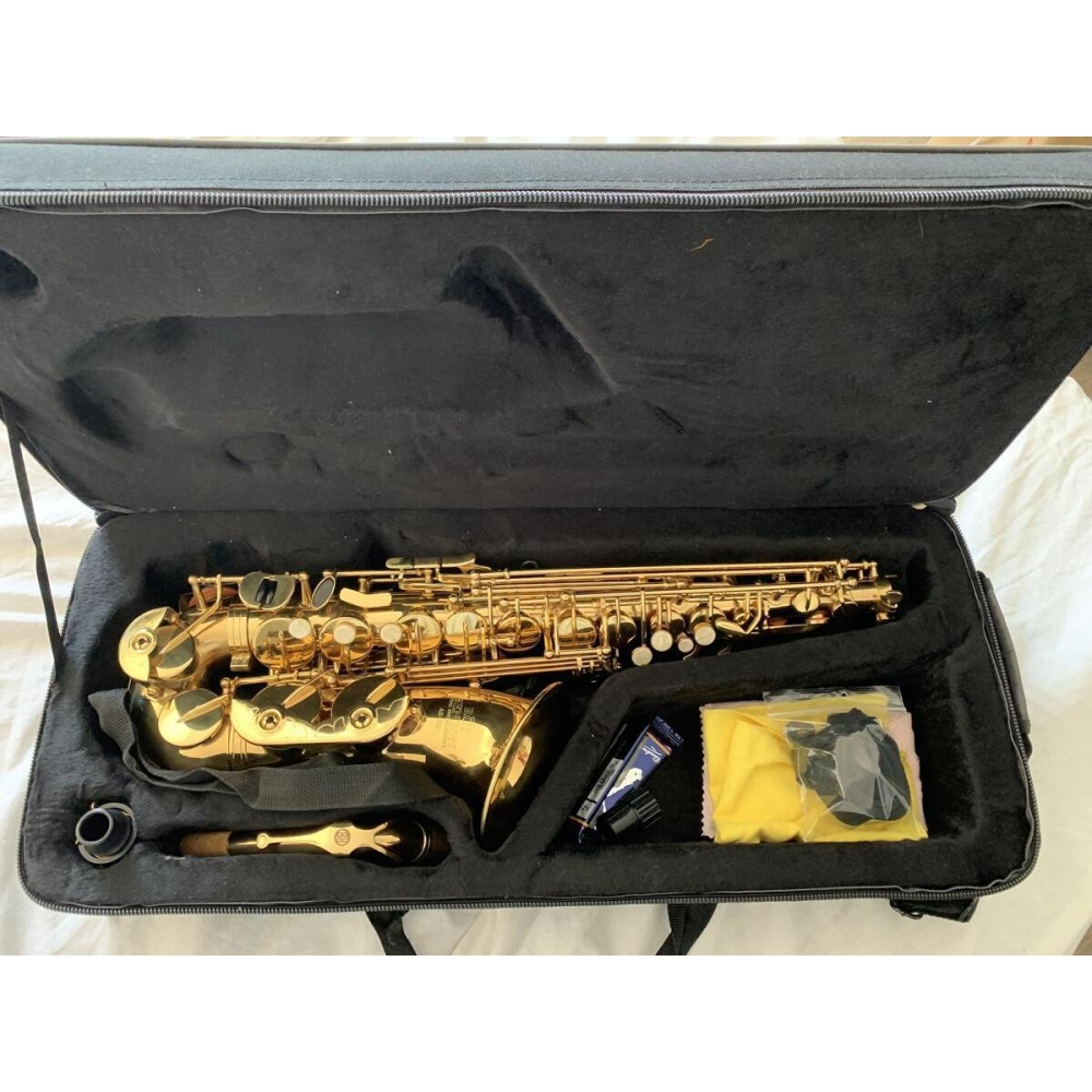 Roy Benson Alto AS 202 - Alto Saxophone