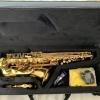 Roy Benson Alto AS 202 - Saxophone alto
