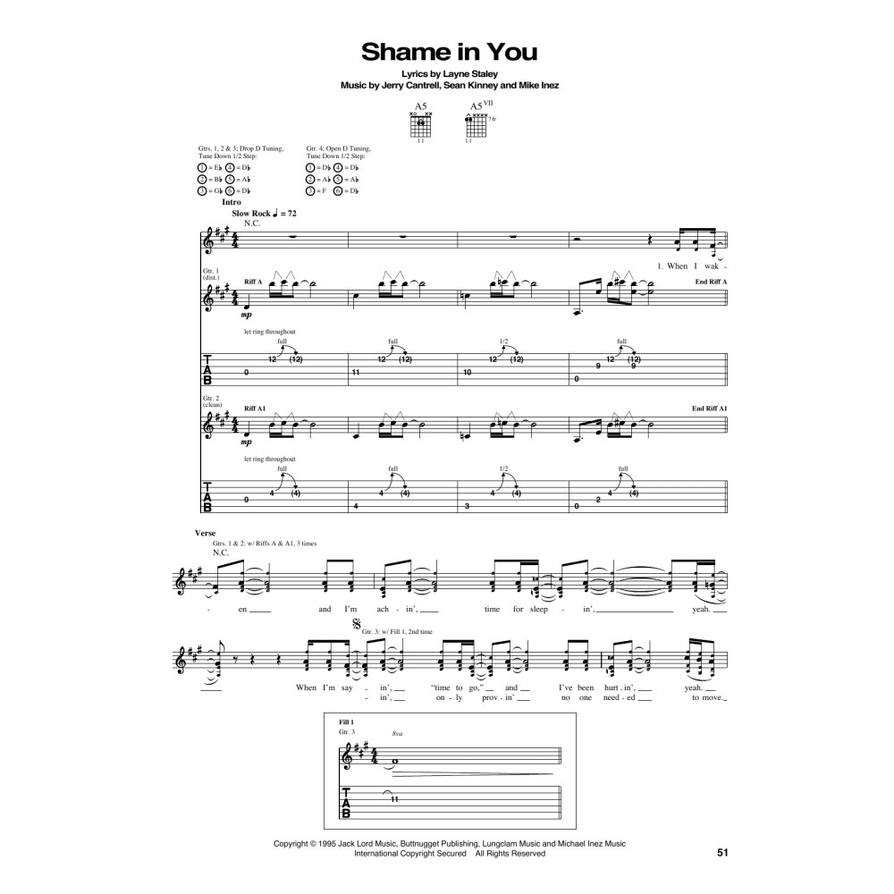 Shame In You