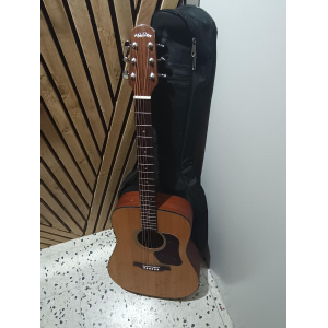 Guitarra acústica Walden D555