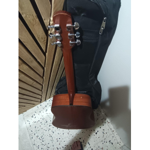 Guitarra acústica Walden D555