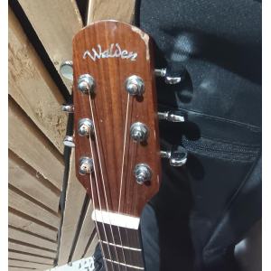 Guitarra acústica Walden D555