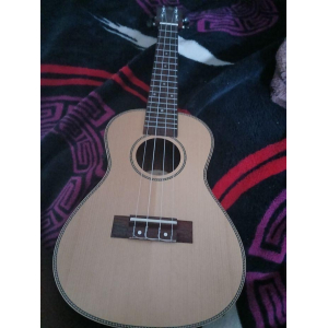 Prodipe BC320EQ - Electro-Acoustic Concert Ukulele
