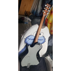 Charvel DS1-ST serie 2013 afinación D