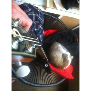 Charvel DS1-ST serie 2013 afinación D