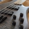 Legator Helio Fan Fret Bass
