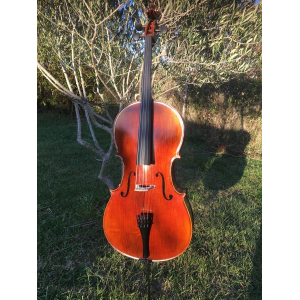 Violonchelo