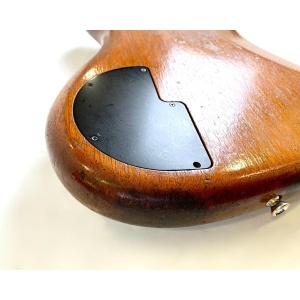 Alembic Epic 5 Natural 1996