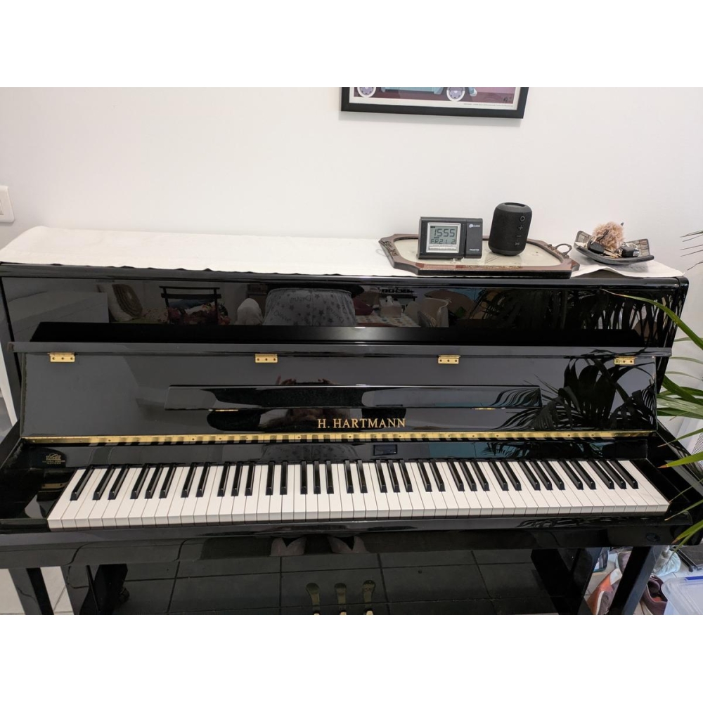 Piano de estudio Hartmann