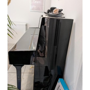 Piano de estudio Hartmann