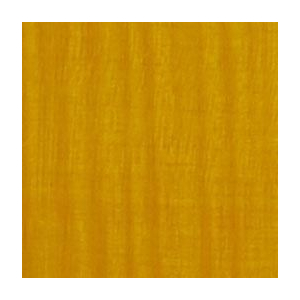 Gibson Slash Les Paul - Appetite Amber