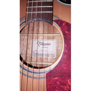 Takamine GD20CE NS