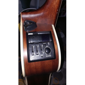 Takamine GD20CE NS
