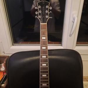 Larry Carlton H7V Signature Electric Guitar