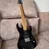 Washburn Pro X-Series Black