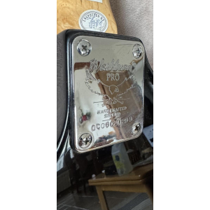 Washburn Pro X-Series Noire