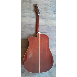 Fender Sierra Vista - Electro-Acoustic Guitar