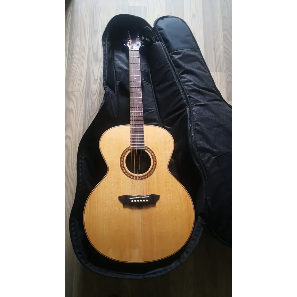 Washburn Guitar