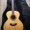 Washburn Guitar