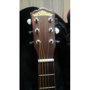 Guitare Washburn