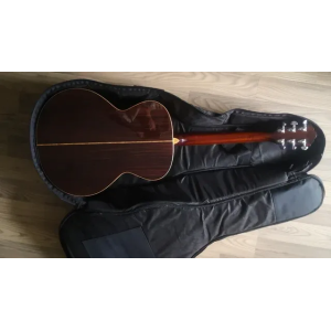 Washburn Guitar