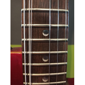 PRS Se Singlecut 2006