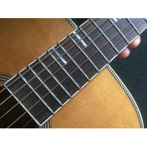 Larry Carlton A4 DS NAT