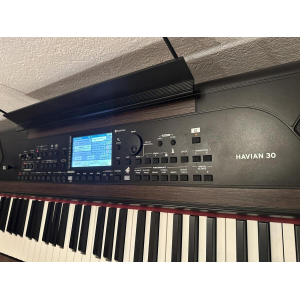 The Korg Havian 30 is a versatile digital piano that combines excellent sound quality with a wide range of features. Whether you