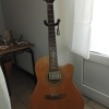 Alvarez Electro-Acoustic Guitar
