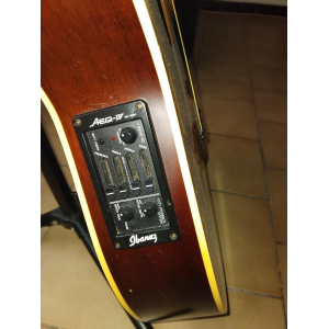 Alvarez Electro-Acoustic Guitar