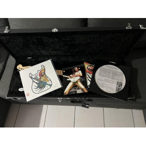 Fender stratocaster signée par Malina Moye et Druillet