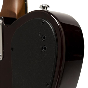 J.n Guitars 202412/0102