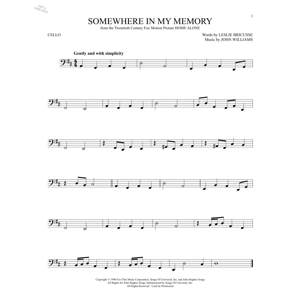 Somewhere In My Memory