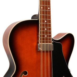 Gold Tone Mandocello