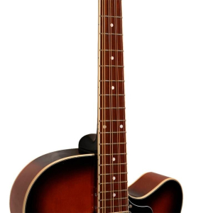 Gold Tone Mandocello