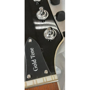 Gold Tone 202412/0129