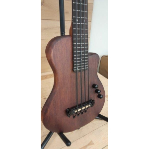 Gold Tone 202412/0130