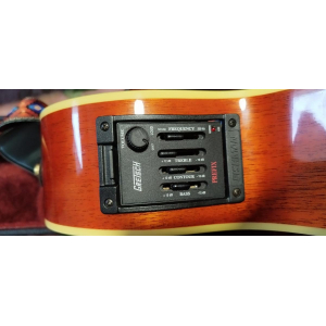 Gretsch Electro-Acoustic Guitar