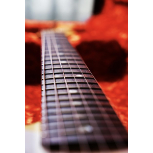 Fender Stratocaster RI 1965 Relic