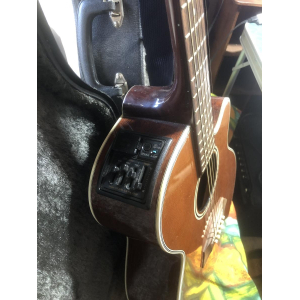 Takamine - electro-acoustic guitar