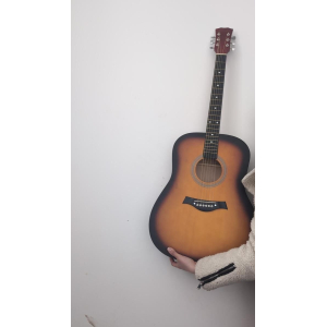 Acoustic guitar