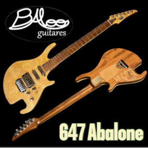 Electric guitar by luthier